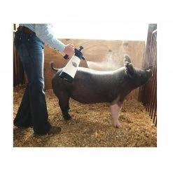 Weaver leather Sales -Weaver leather Sales 18cb6dcdaeb82b34e2739fc9c9615598d4f71b8b 67510998 2