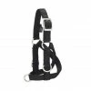 Weaver Leather Sheep and Goat Training Halter Medium Black 35-7131-BK - Horse Equipment