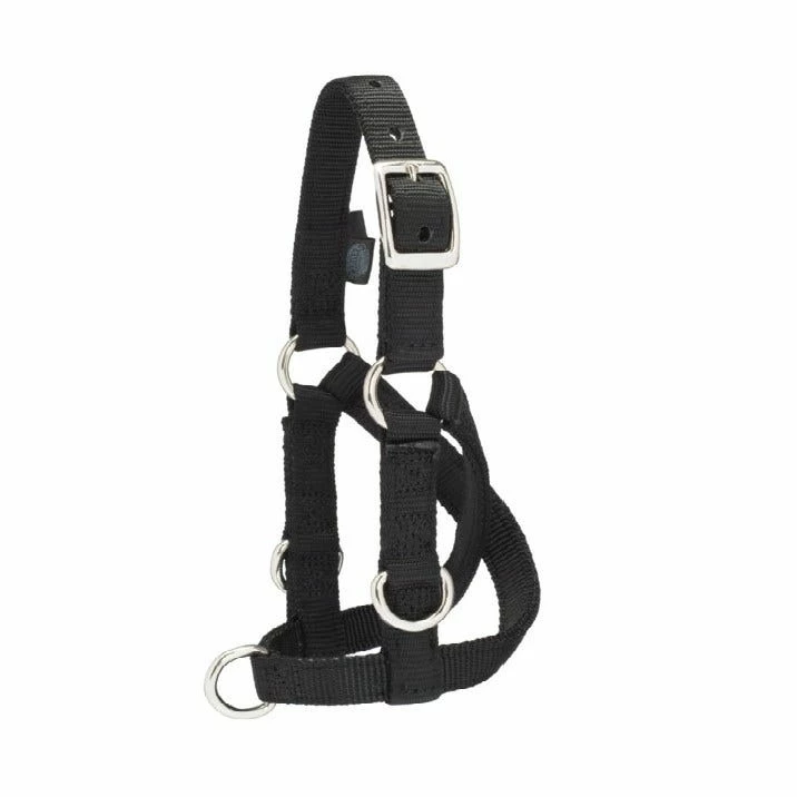 Weaver Leather Sheep and Goat Training Halter Medium Black 35-7131-BK - Horse Equipment 1 Weaver Leather Sheep and Goat Training Halter Medium Black 35-7131-BK - Horse Equipment