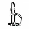 Weaver Leather Original Adjustable Nylon Halter with Chrome Plated Hardware, Medium, Black 35-7375-BK - Horse Equipment