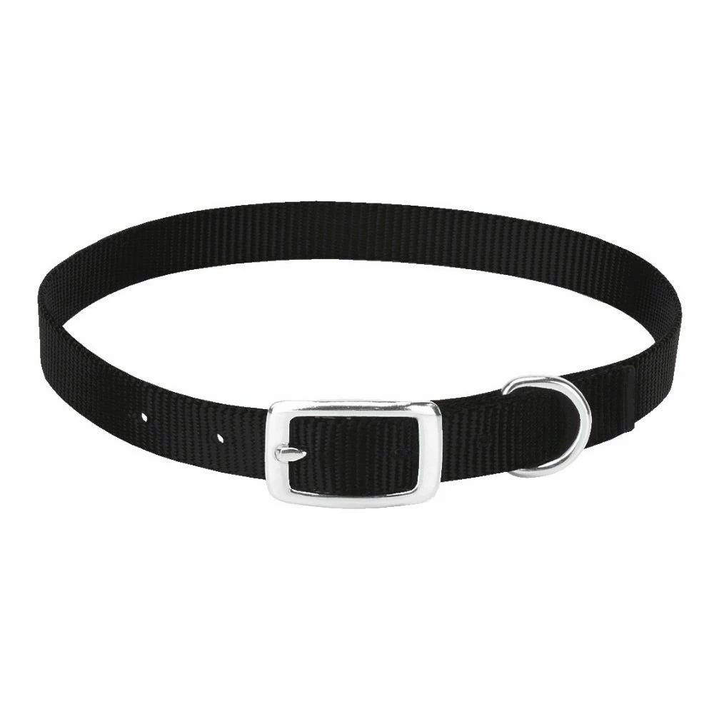 Weaver Leather Livestock Goat Collar - Black - 3/4 Inch x 22 Inch - 24 Inch - Medium - 35-7091-BK - Goat Collars & Leads 1 Weaver Leather Livestock Goat Collar - Black - 3/4 Inch x 22 Inch - 24 Inch - Medium - 35-7091-BK - Goat Collars & Leads